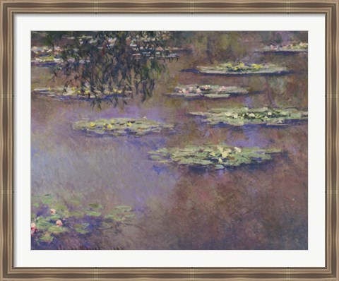 Framed Water Lilies, 1903 Print