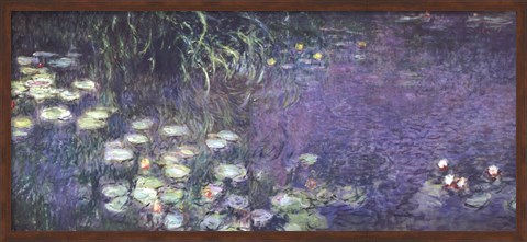 Framed Water Lilies: Morning Print