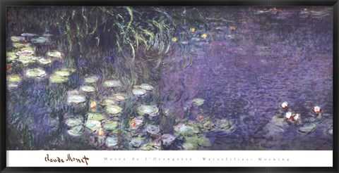 Framed Water Lilies: Morning Print