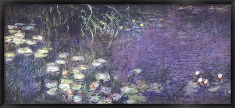 Framed Water Lilies: Morning Print