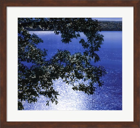 Framed Silver Light, 2006 Print