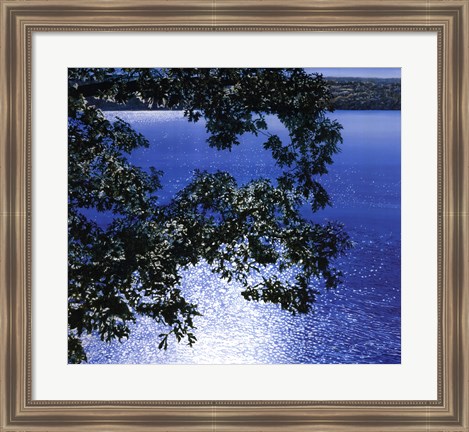 Framed Silver Light, 2006 Print