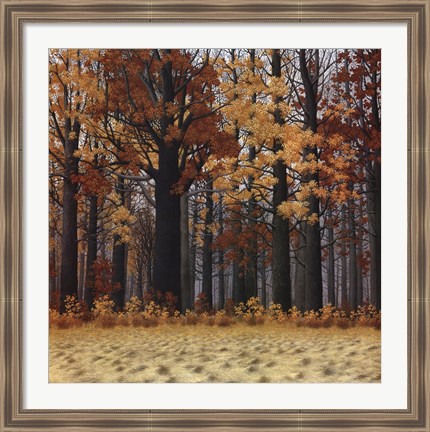 Framed Autumn Wood Print