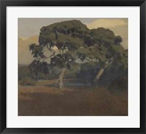 Framed Oaks Print