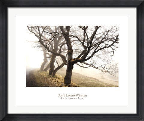 Framed Early Morning Calm Print