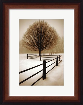 Framed Solitude Print