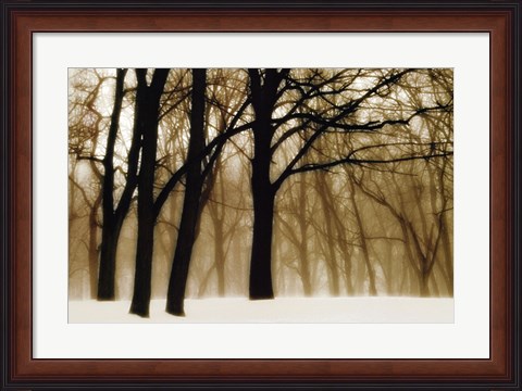 Framed Past Dreams Print