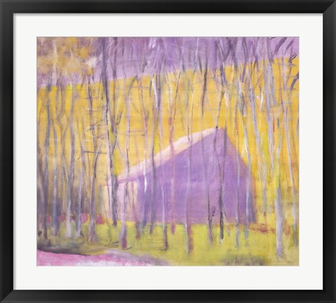 Framed Saltbox Barn, 2002 Print