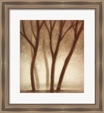 Framed Forest II Print