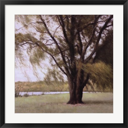 Framed Lakeside Trees II Print