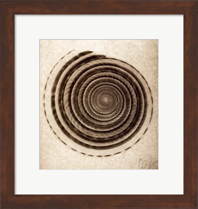 Framed Sundial Shell Print