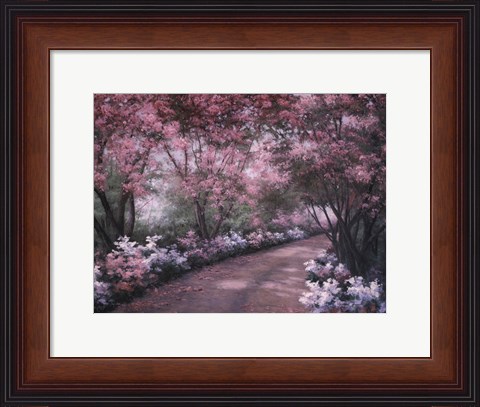 Framed Azalea Walk Print