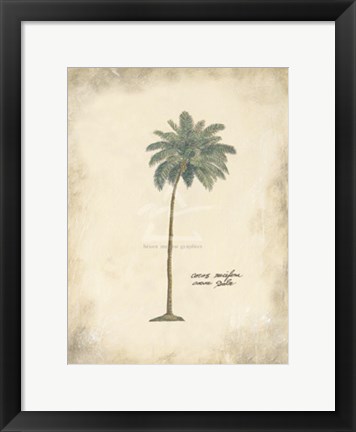 Framed Cocoa Palm Print