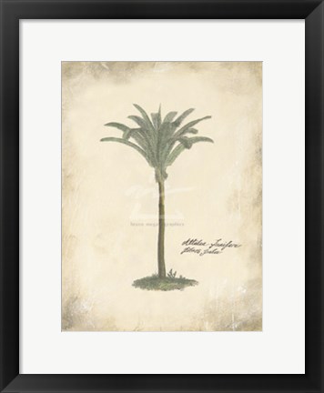 Framed Fibres Palm Print