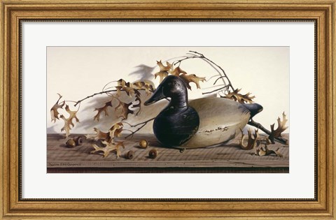 Framed Chesapeake Bay Canvasback Print