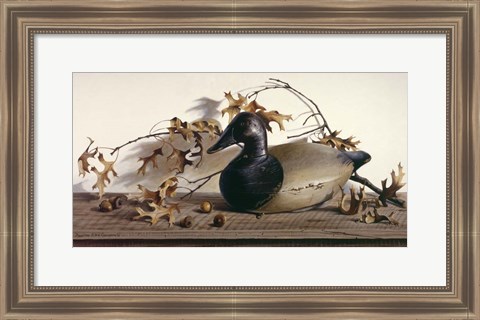 Framed Chesapeake Bay Canvasback Print