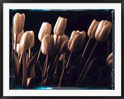 Framed Tulips Print