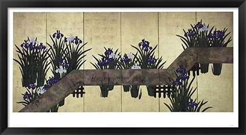 Framed Iris By Plank Bridge Print