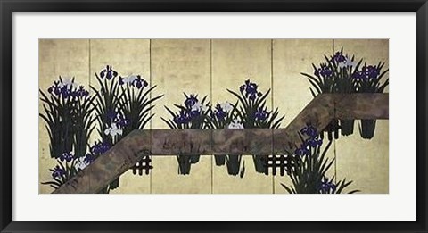 Framed Iris By Plank Bridge Print