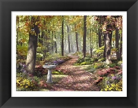 Framed Forest Path Print