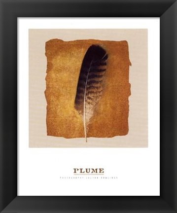 Framed Plume Print