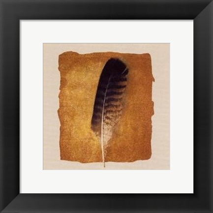 Framed Plume Print