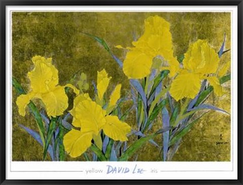 Framed Yellow Iris Print