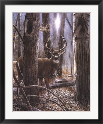 Framed Woodland Sentry Print