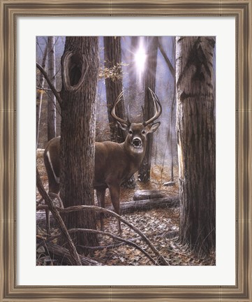 Framed Woodland Sentry Print