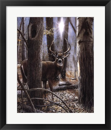 Framed Woodland Sentry Print