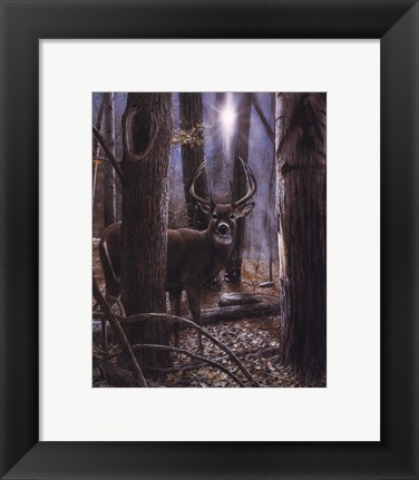 Framed Woodland Sentry Print