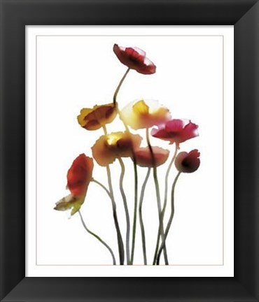 Framed Poppies Print