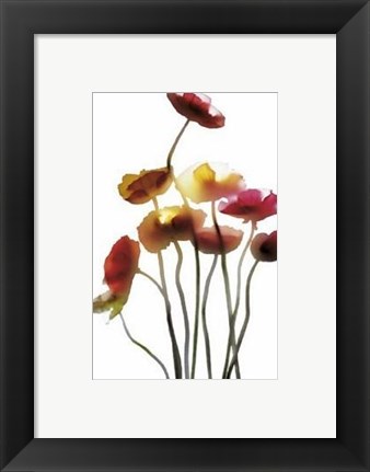 Framed Poppies Print