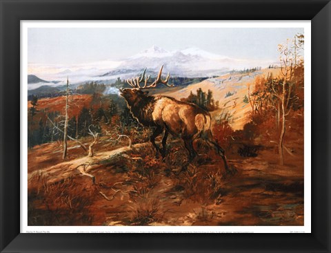 Framed Elk Print