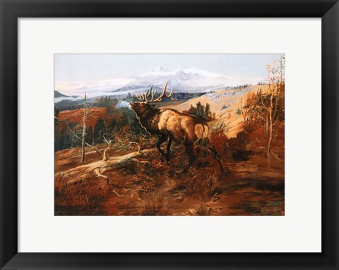 Framed Elk Print