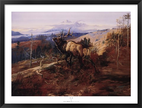 Framed Elk Print