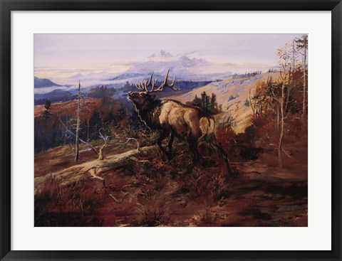 Framed Elk Print