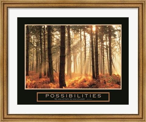 Framed Possibilities-Sunlight Print