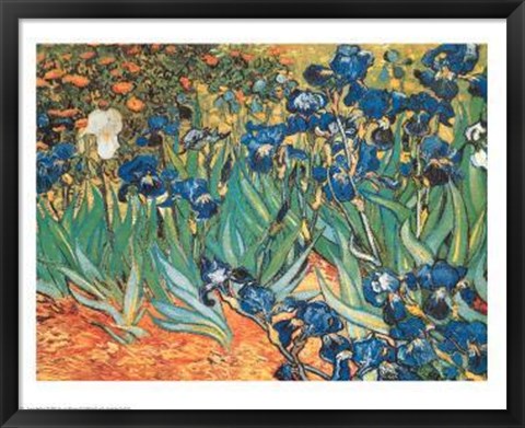 Framed Iris Garden Print