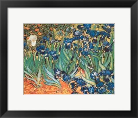 Framed Iris Garden Print