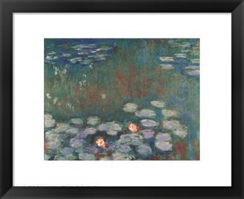 Framed Water Lilies (dark) Print