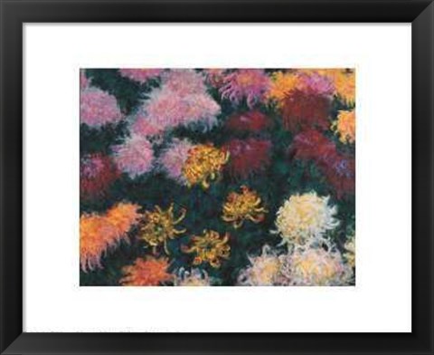 Framed Chrysanthemum, 1897 Print