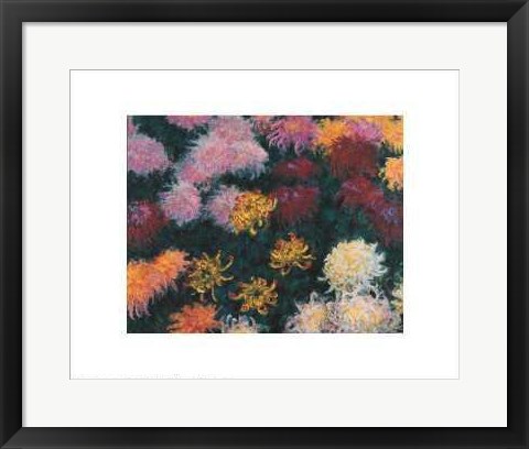 Framed Chrysanthemum, 1897 Print