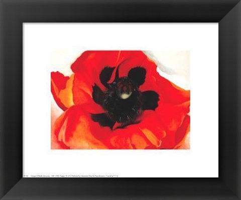 Framed Poppy Print