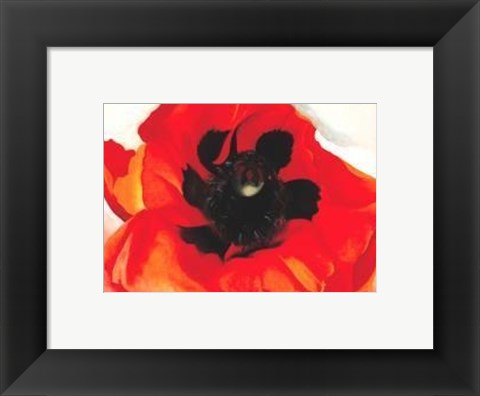 Framed Poppy Print