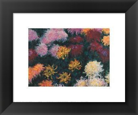 Framed Chrysanthemum, 1897 Print