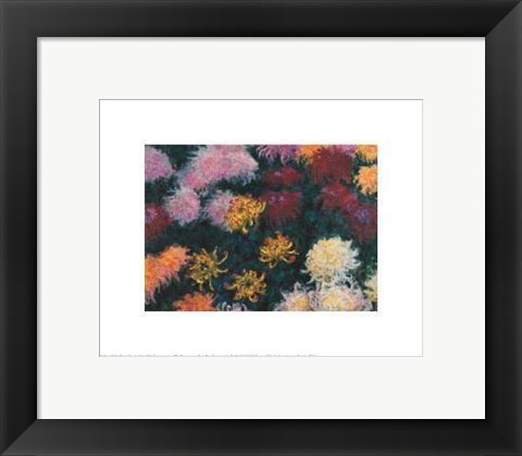 Framed Chrysanthemum, 1897 Print