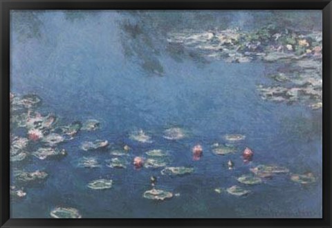 Framed Waterlillies Print