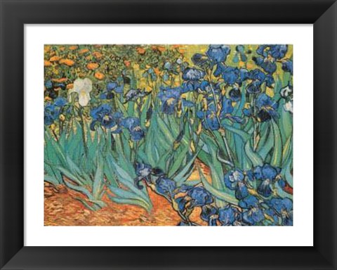 Framed Garden Of Irises Print