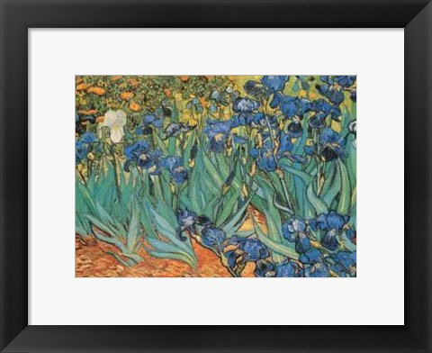 Framed Garden Of Irises Print